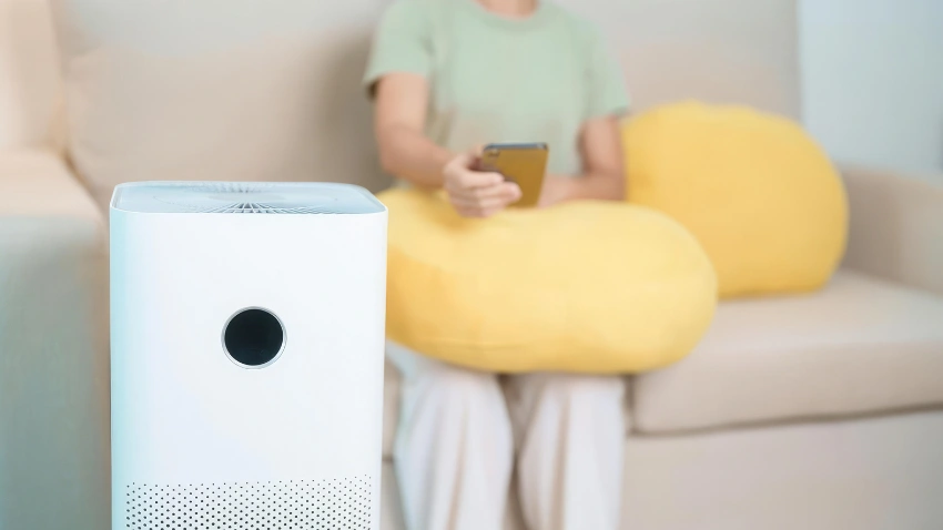 Air Purifier for a More Comfortable Indoor Environment