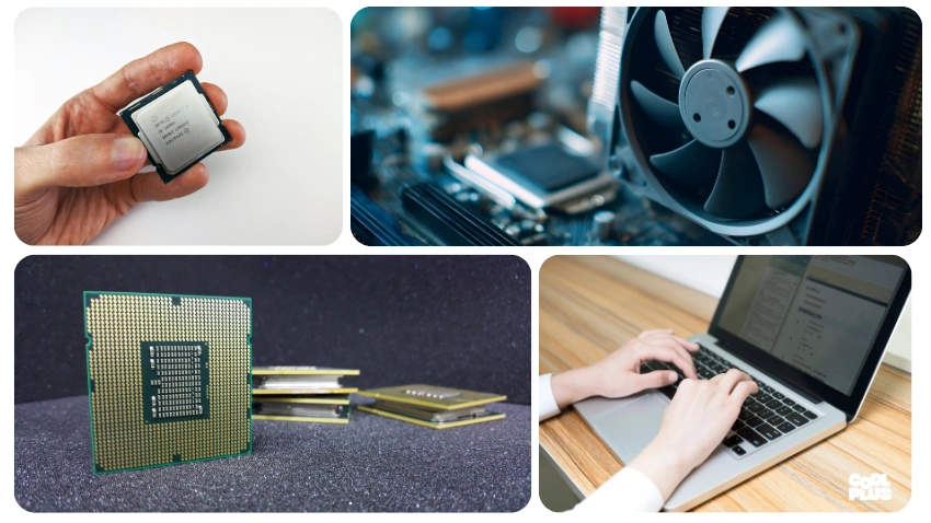 How to Choose the Right Processor for Your Needs